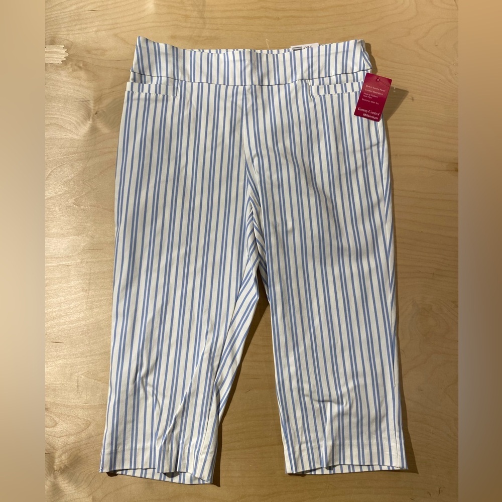 Kim Rogers Blue and White Striped Capris Pants 14P (QL)